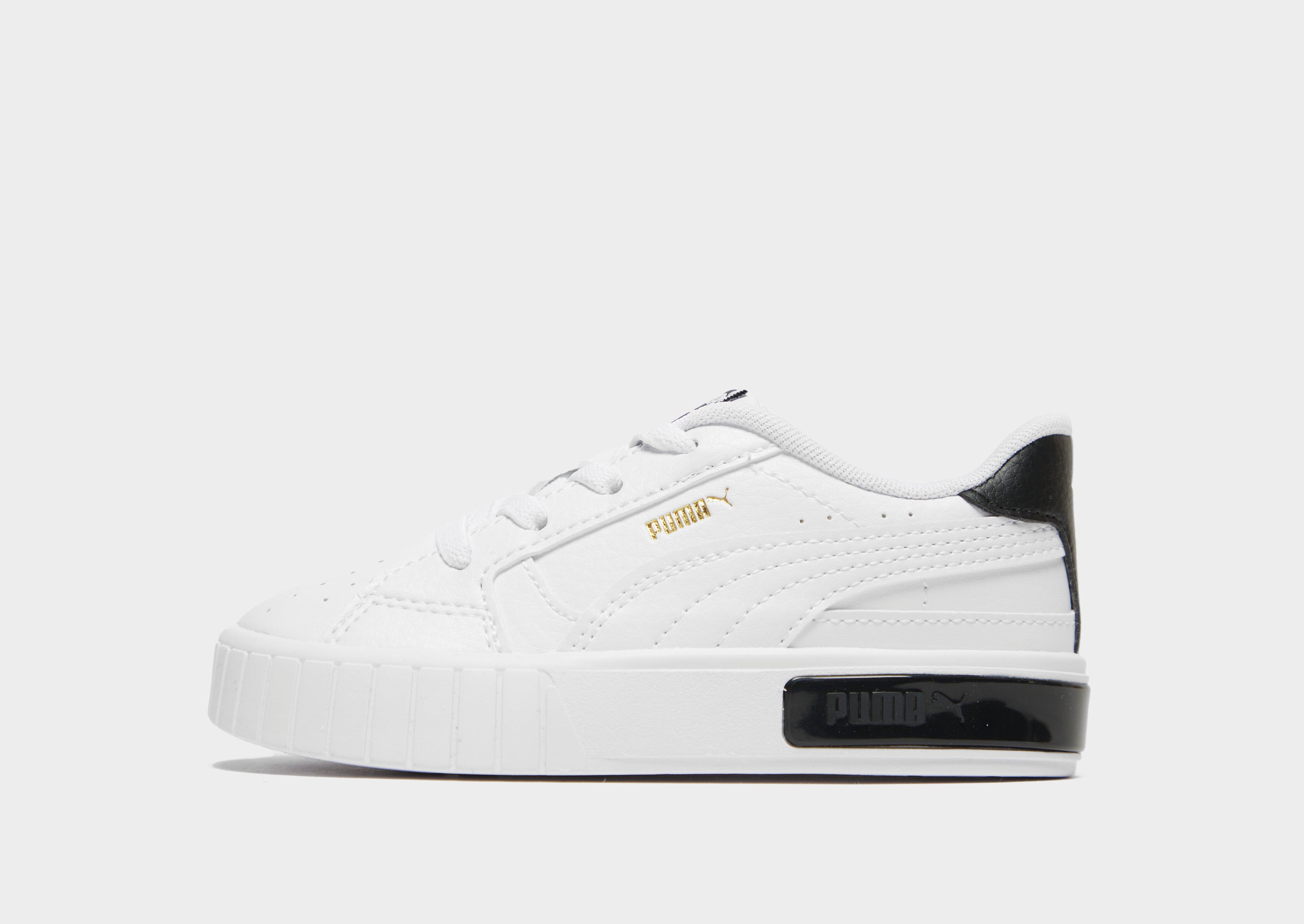 infant puma cali