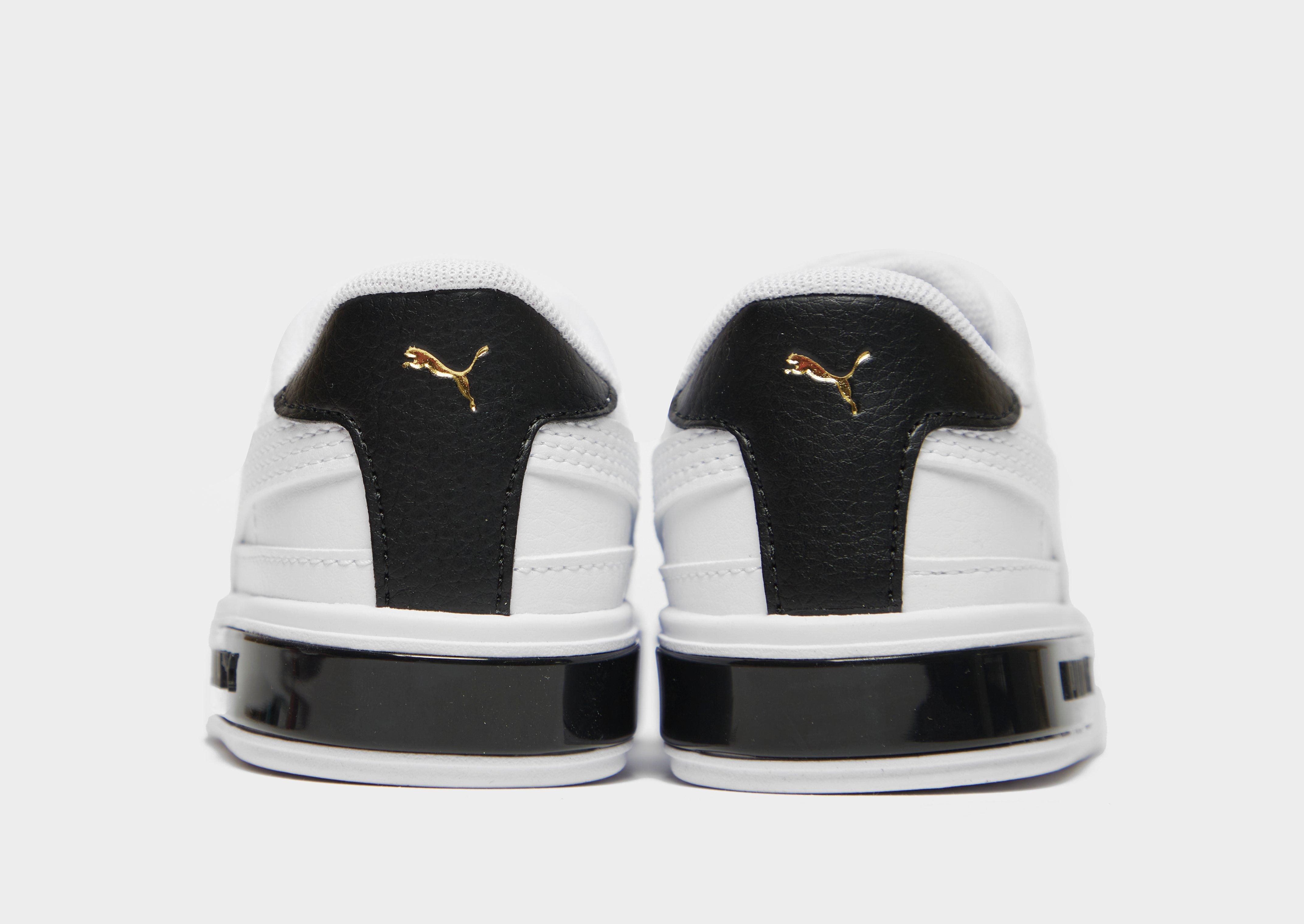 infant puma cali