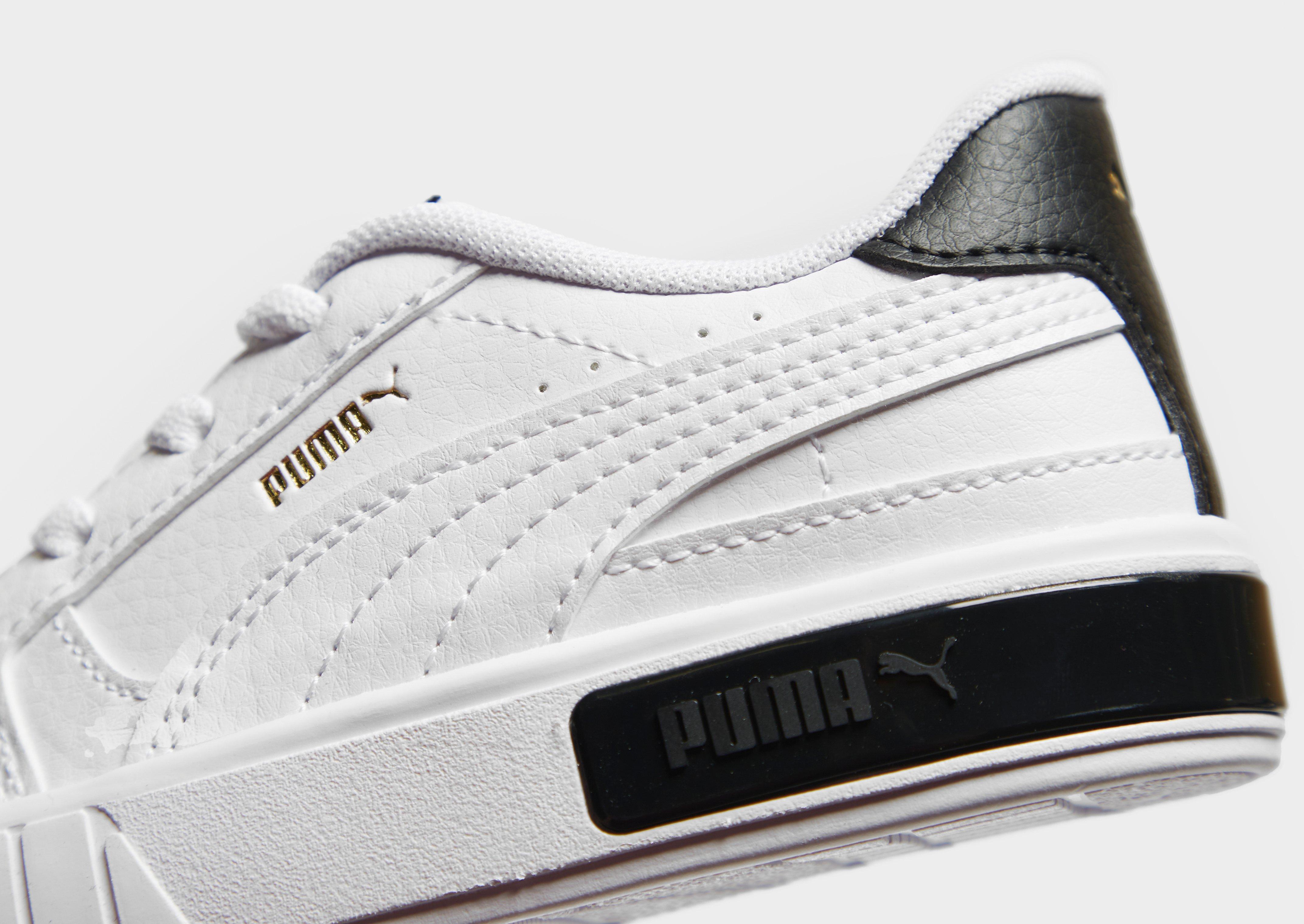infant puma cali