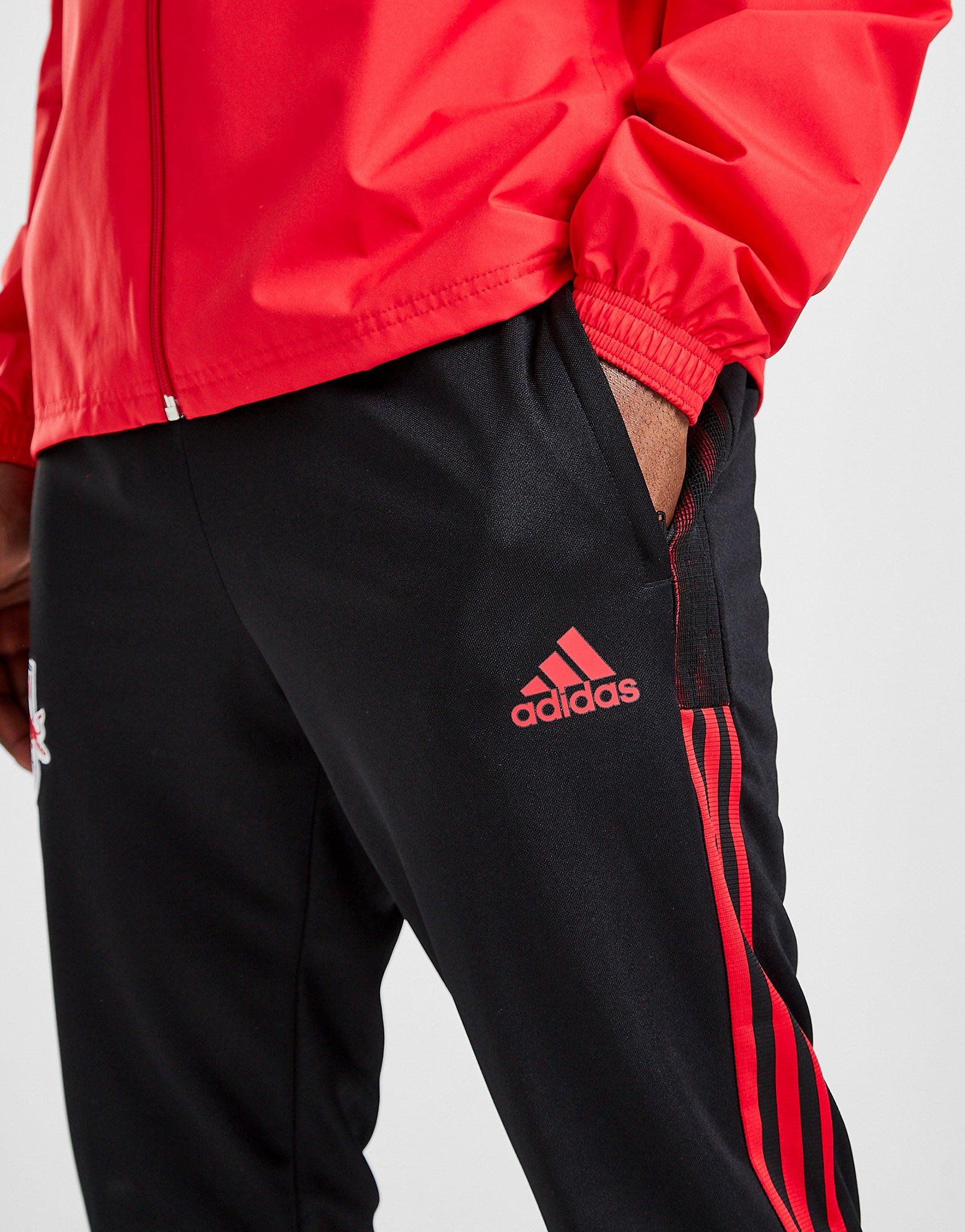 adidas pants new