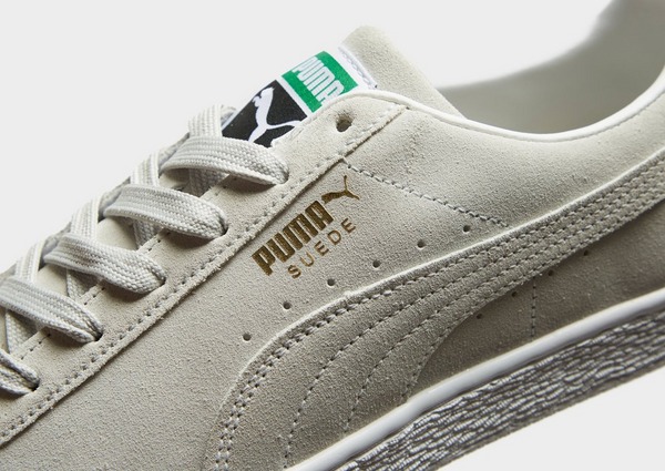 Puma ales grey