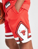 Nike NBA Chicago Bulls Shorts Kinder
