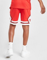 Nike NBA Chicago Bulls -shortsit Juniorit