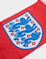 Official Team 2-Pack England Car Flags