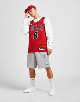 Nike NBA Chicago Bulls Zach LaVine #8 Jersey