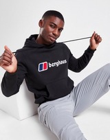 Berghaus Sweat à capuche Over The Head Homme