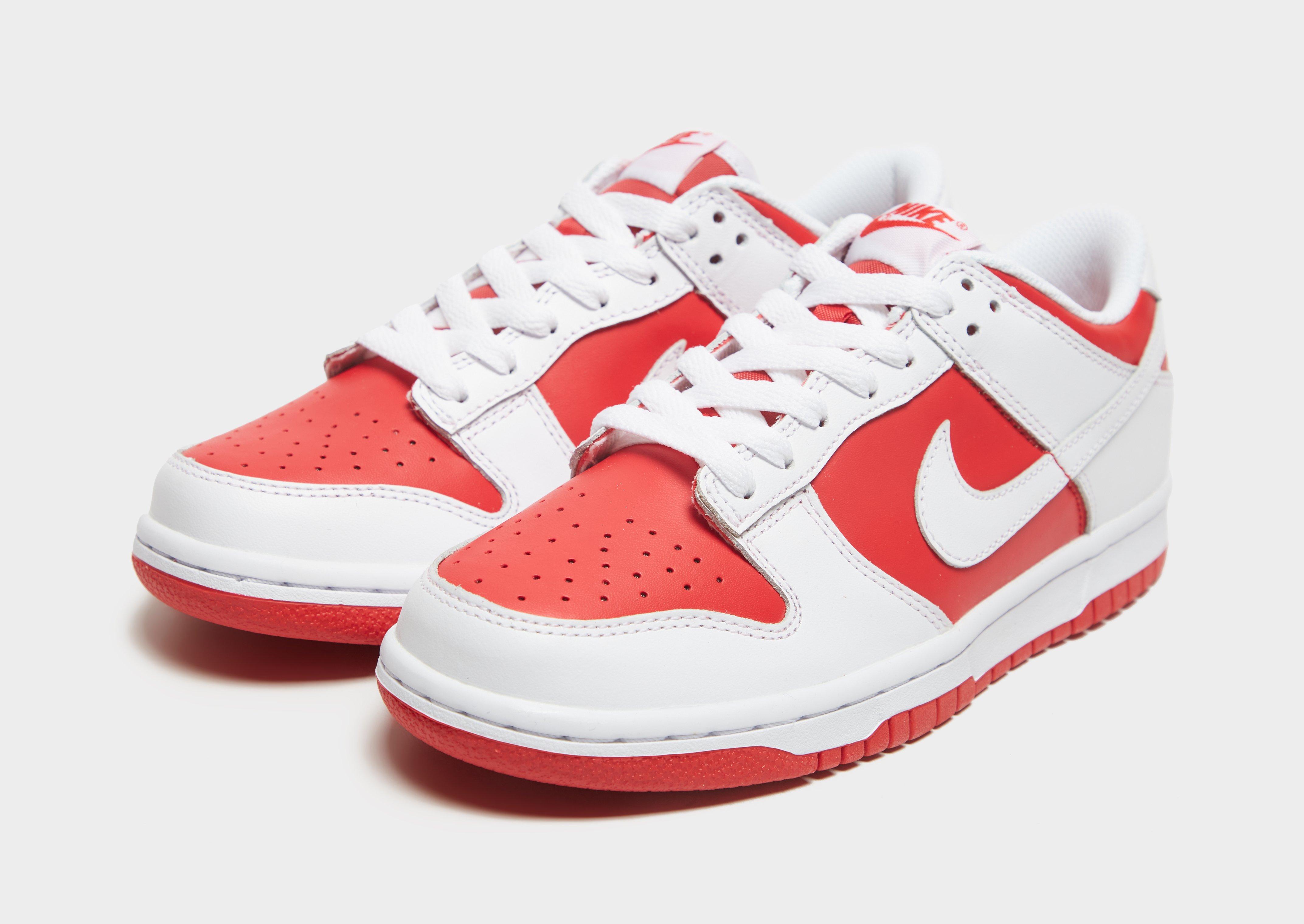 Nike Dunk Low para Júnior