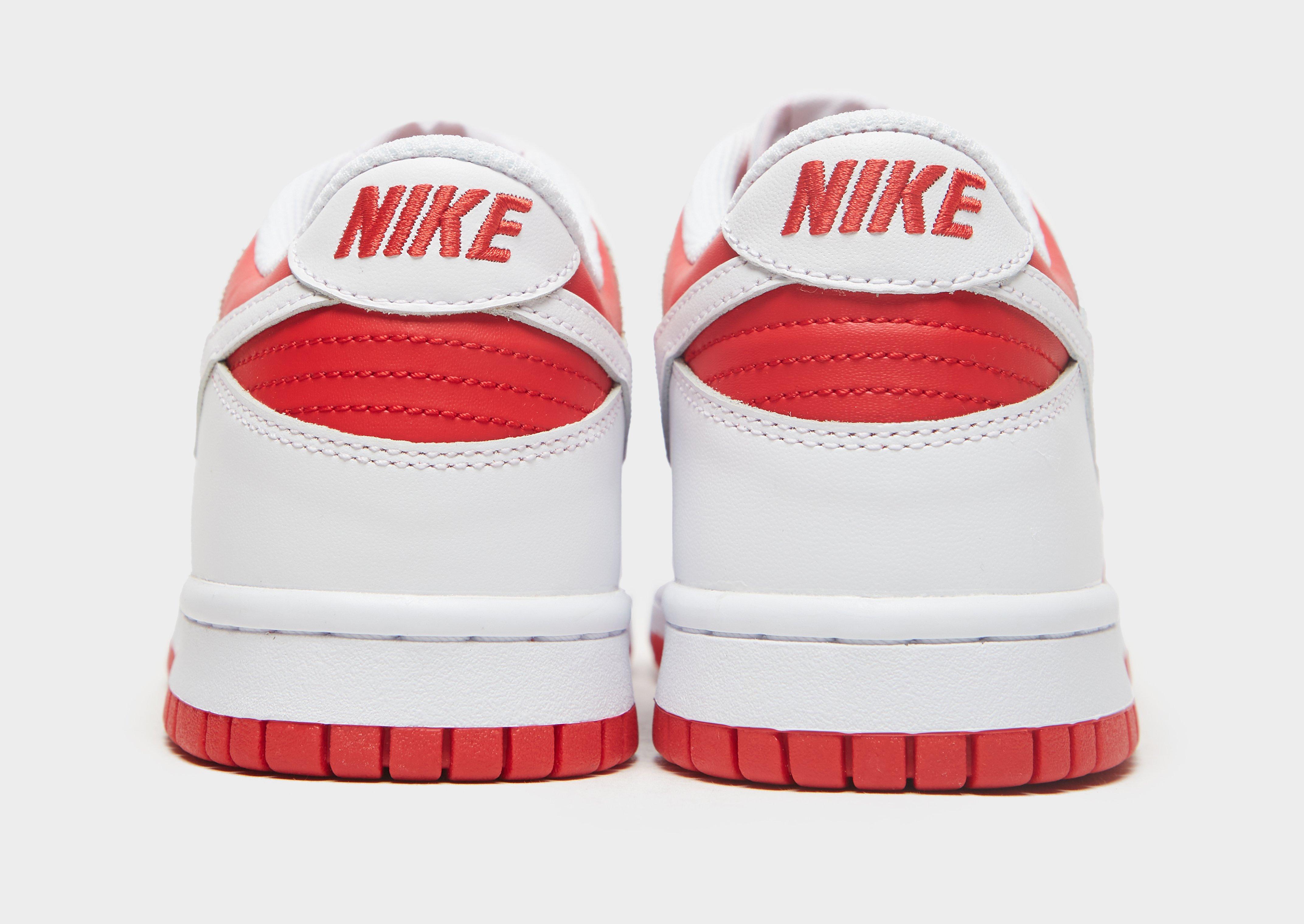 Nike Dunk Low para Júnior