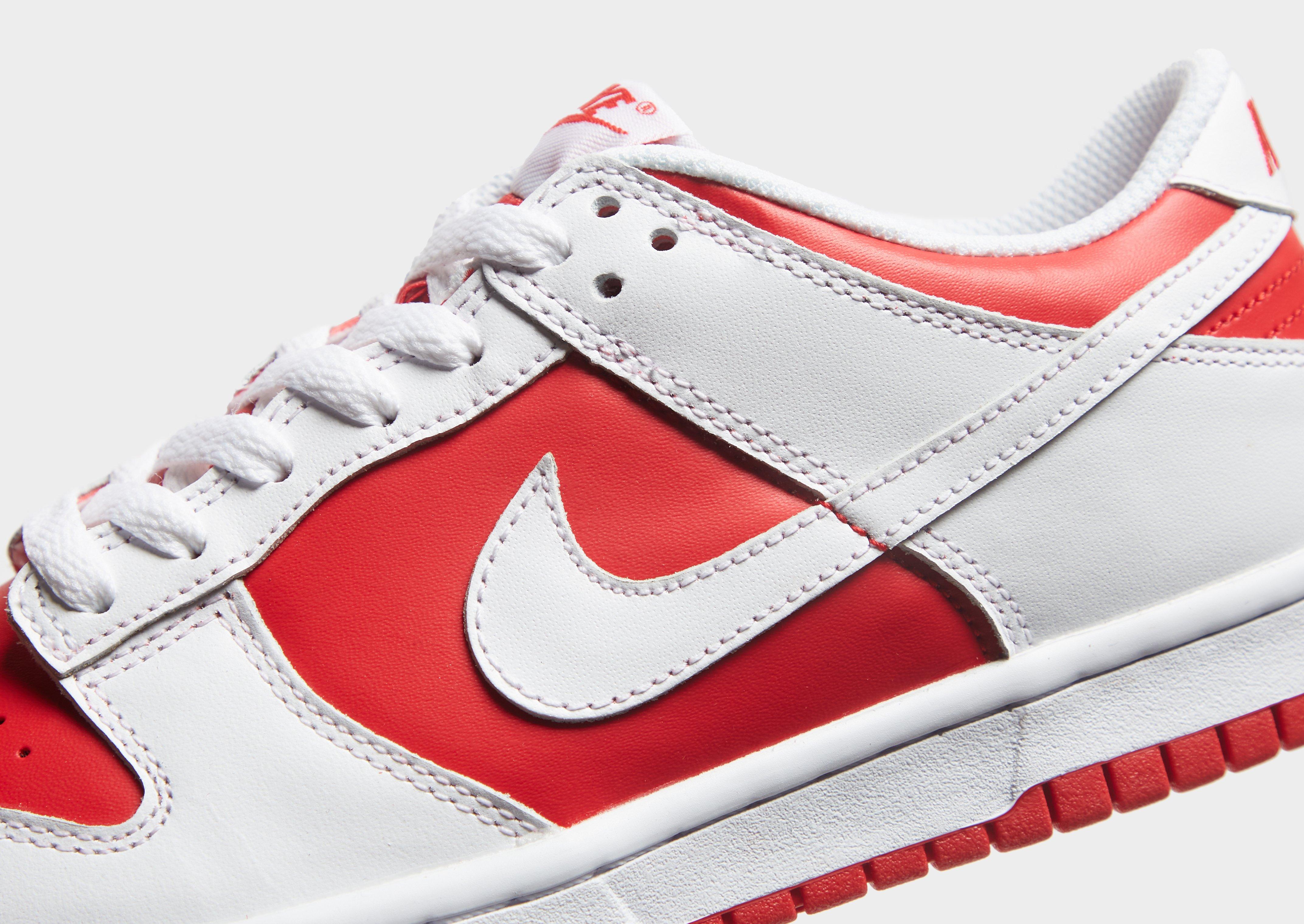 Nike Dunk Low para Júnior