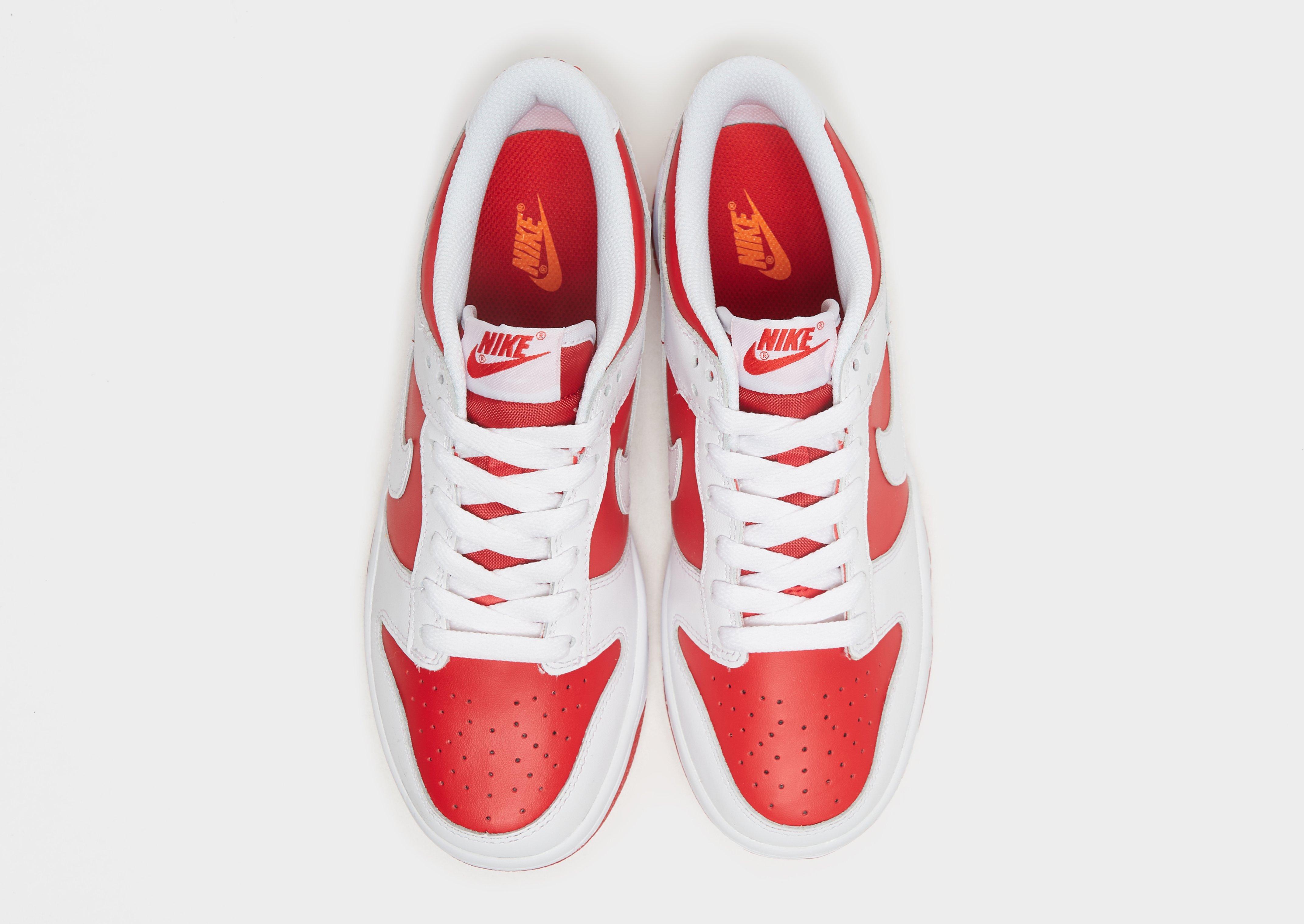 Nike Dunk Low para Júnior