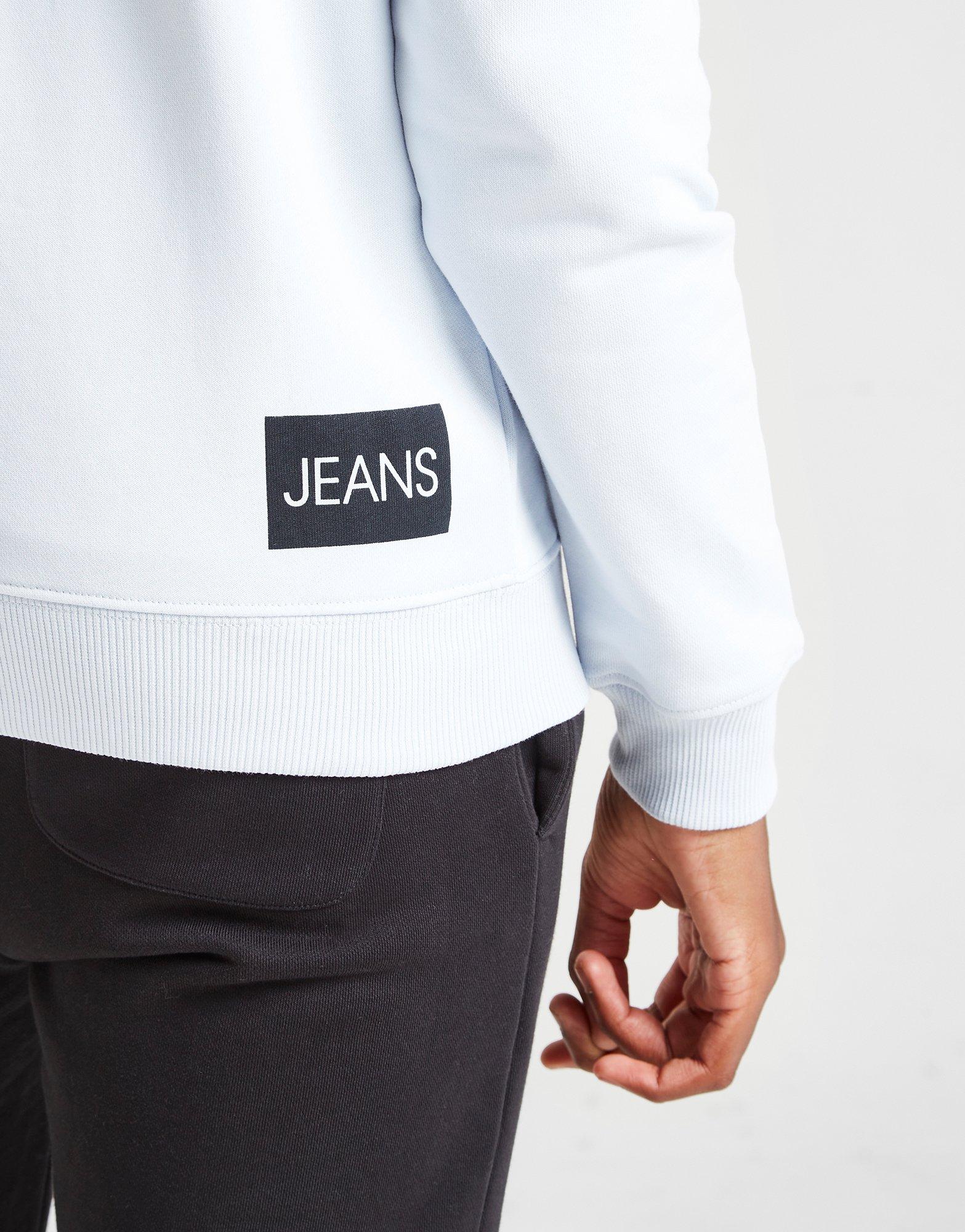 Calvin Klein Institutional Logo Hoodie Junior