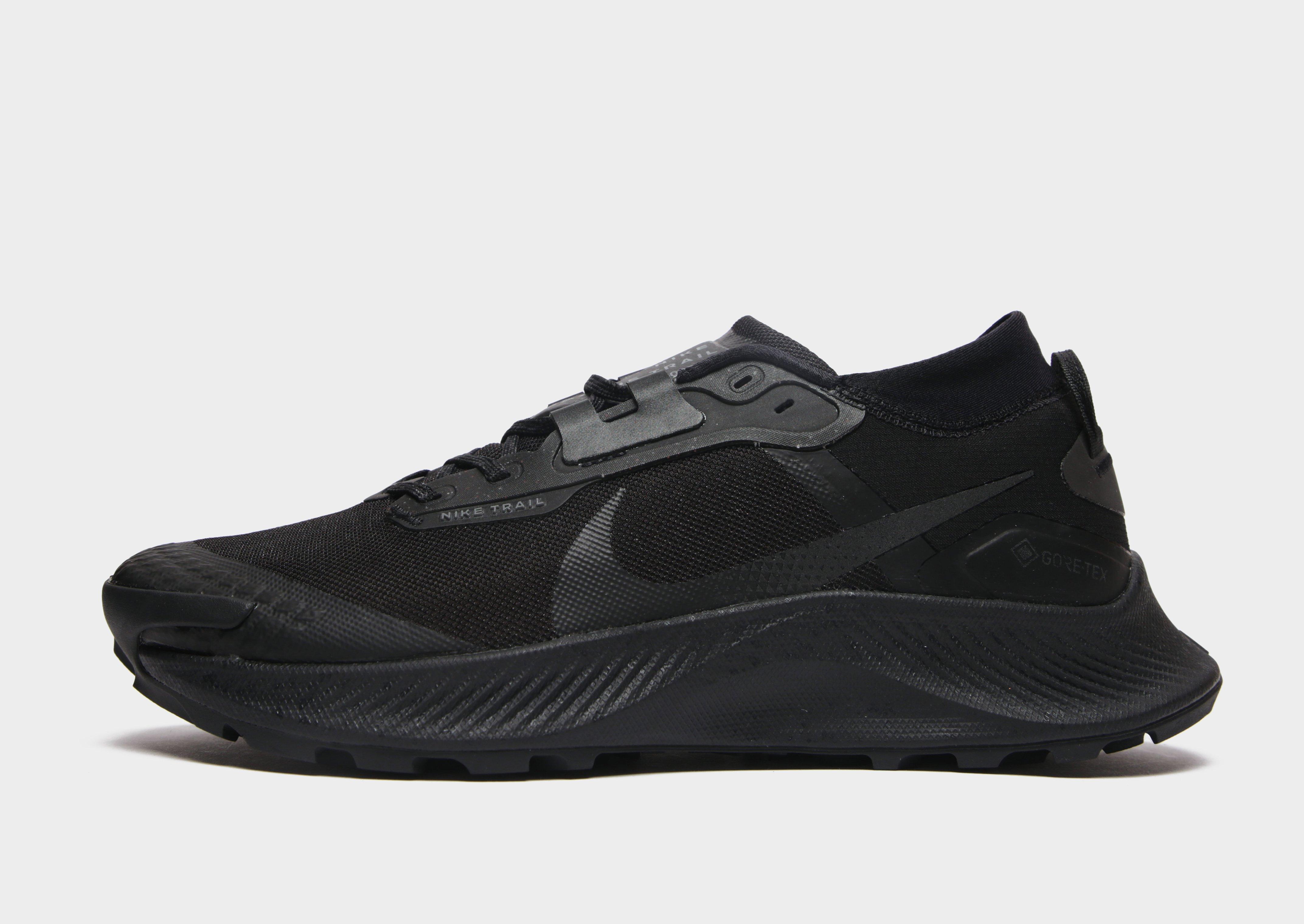 Todo el mundo Crónico considerado Nike Pegasus Trail 3 GORE-TEX en Negro | JD Sports España