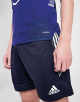 adidas Northern Ireland Condivo21 Training Shirt