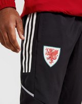 adidas FA Wales Condivo21 Presentation Track Pants