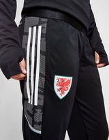 adidas Pantalon d'Entraînement Wales Condivo21 Femme