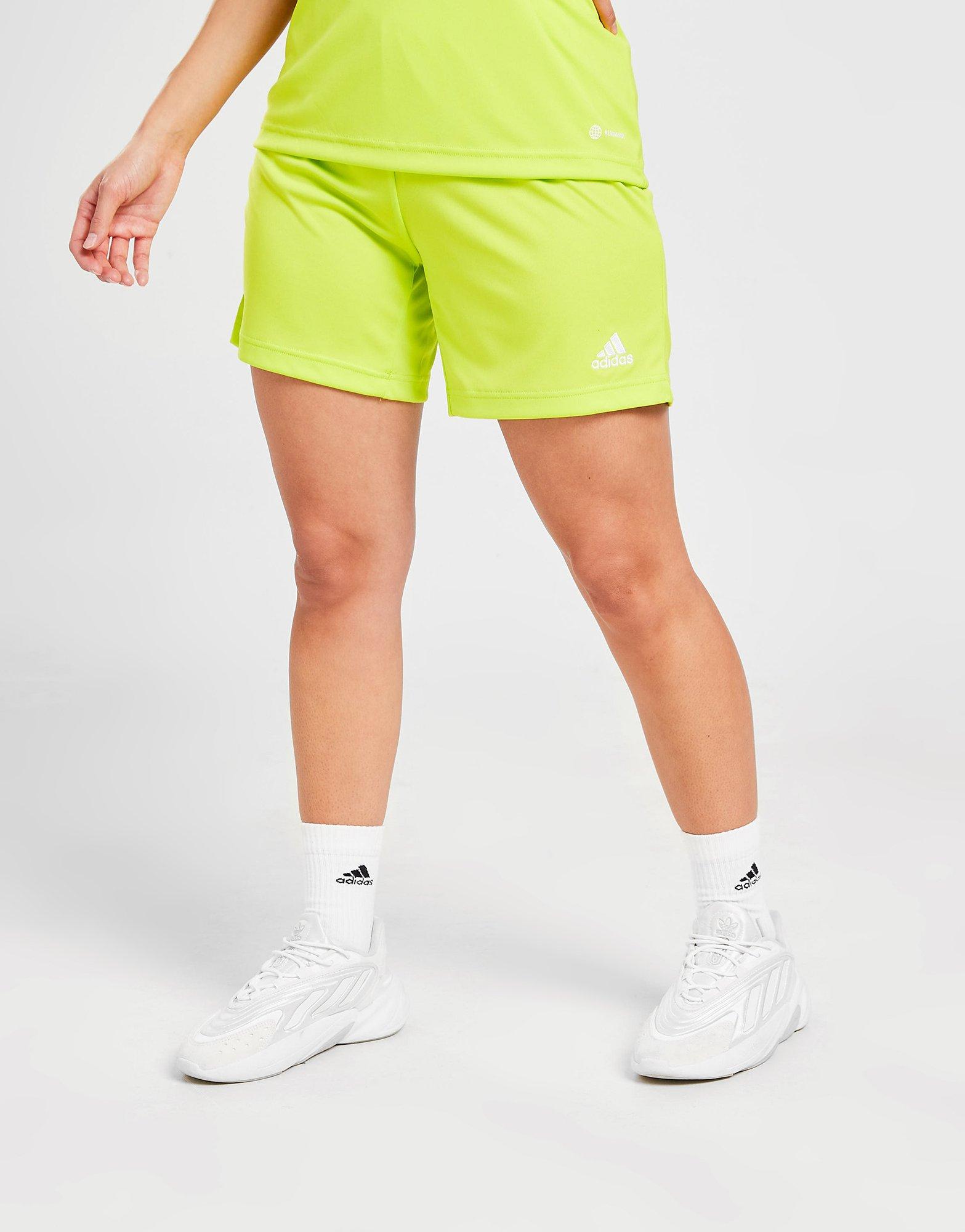 adidas Entrada 22 Shorts