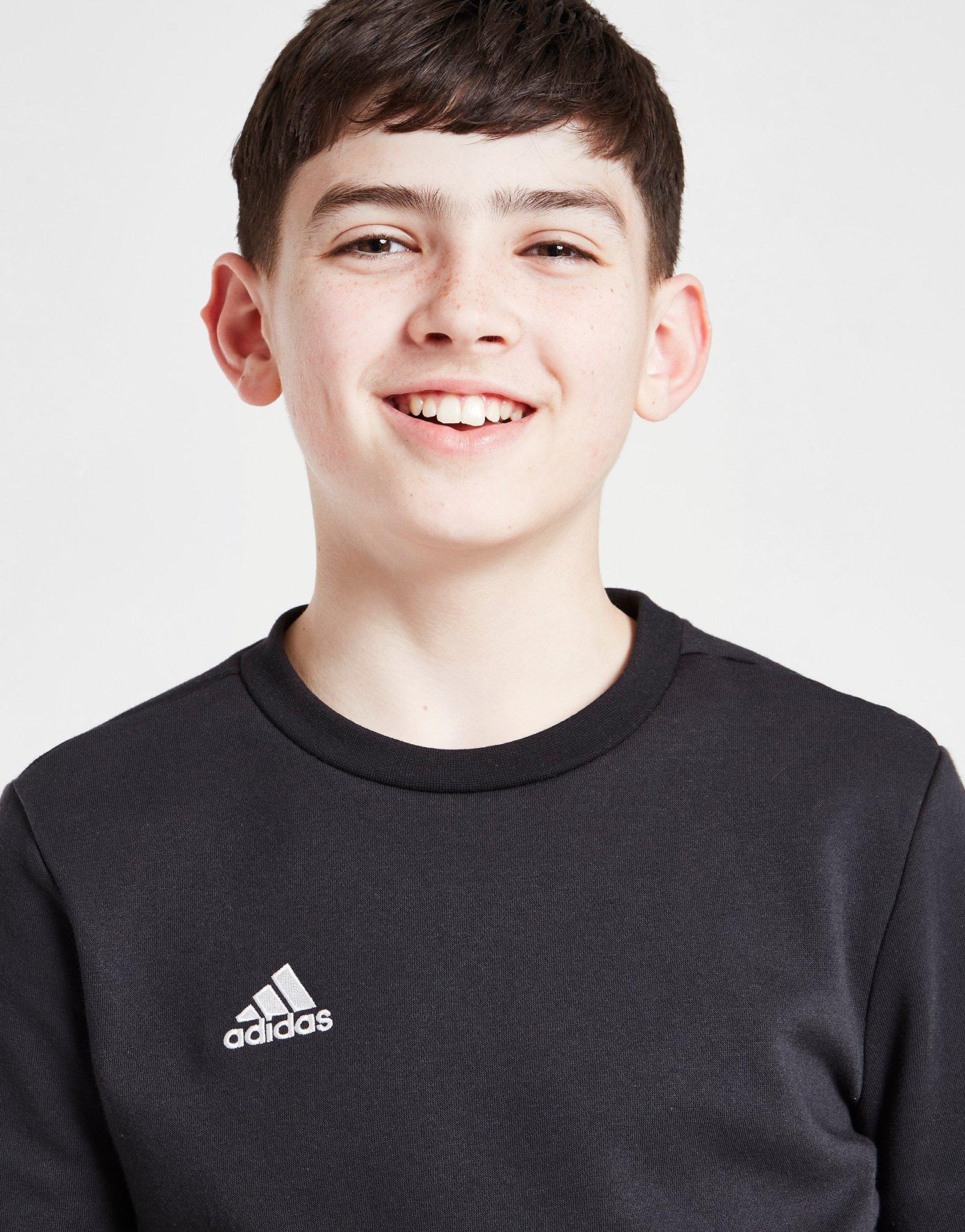 adidas Entrada 22 Sweatshirt Junior