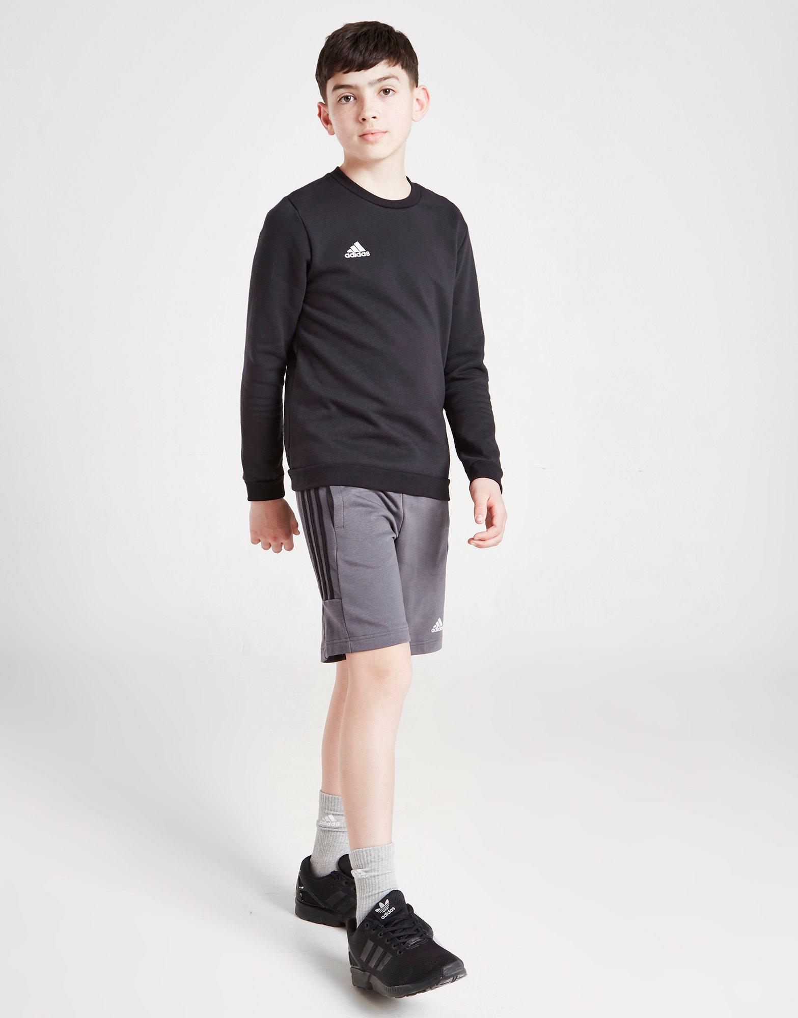 adidas Entrada 22 Sweatshirt Junior
