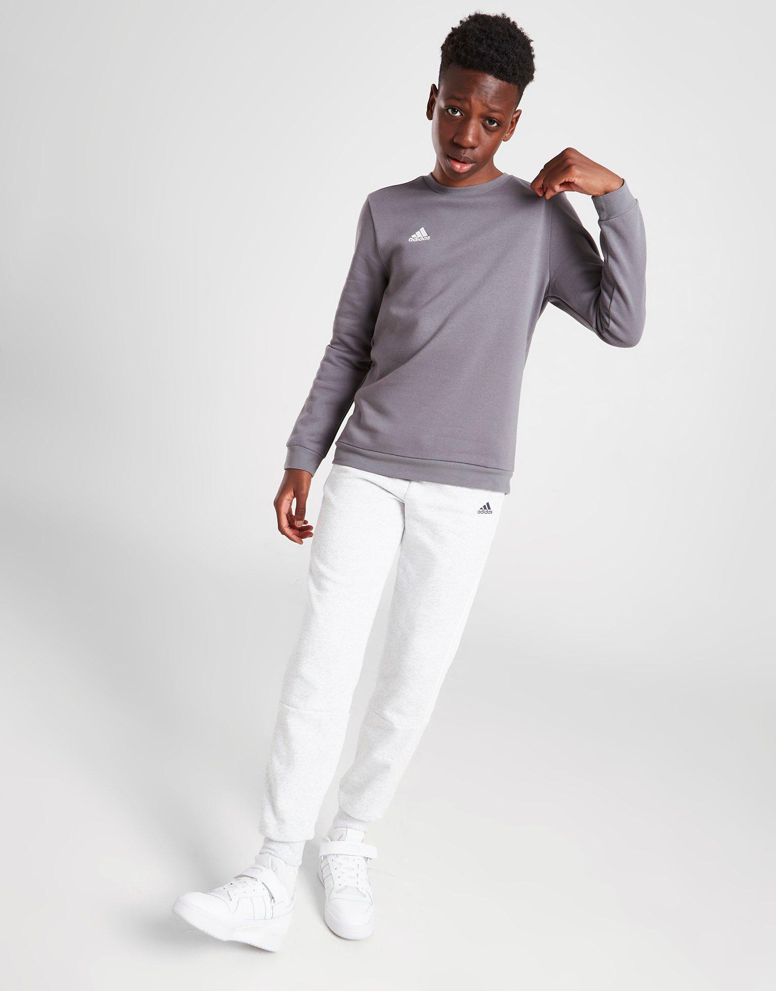 adidas Entrada 22 Sweatshirt Junior