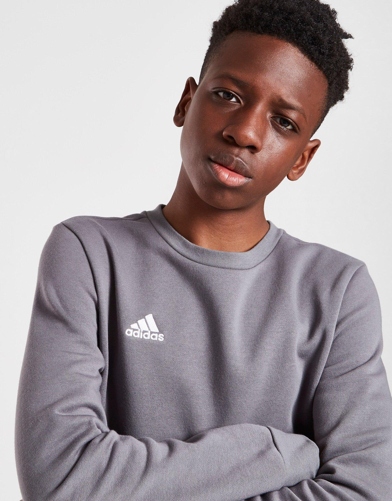 adidas Entrada 22 Sweatshirt Junior