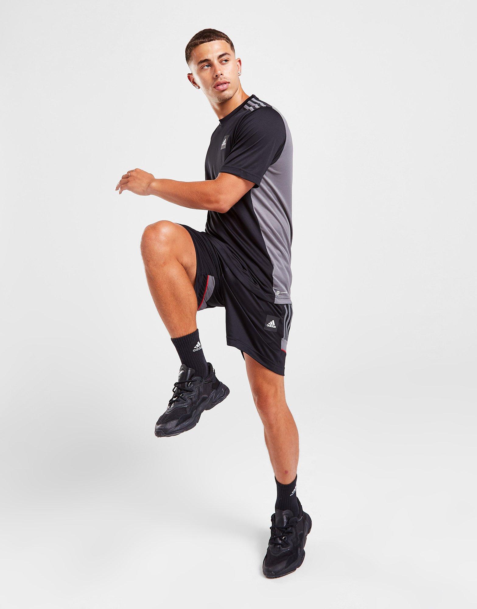 adidas Match Fußball Shorts