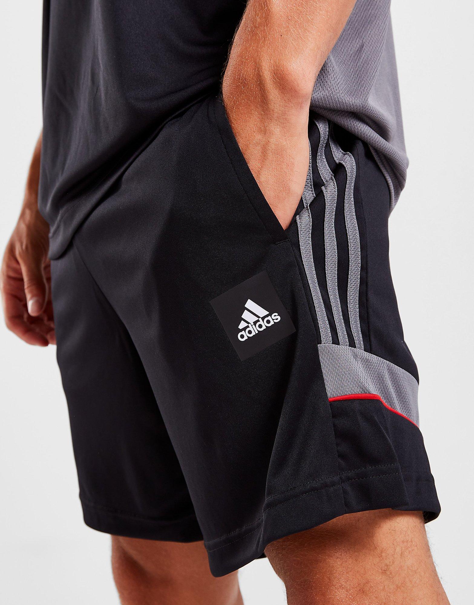 adidas Match Fußball Shorts