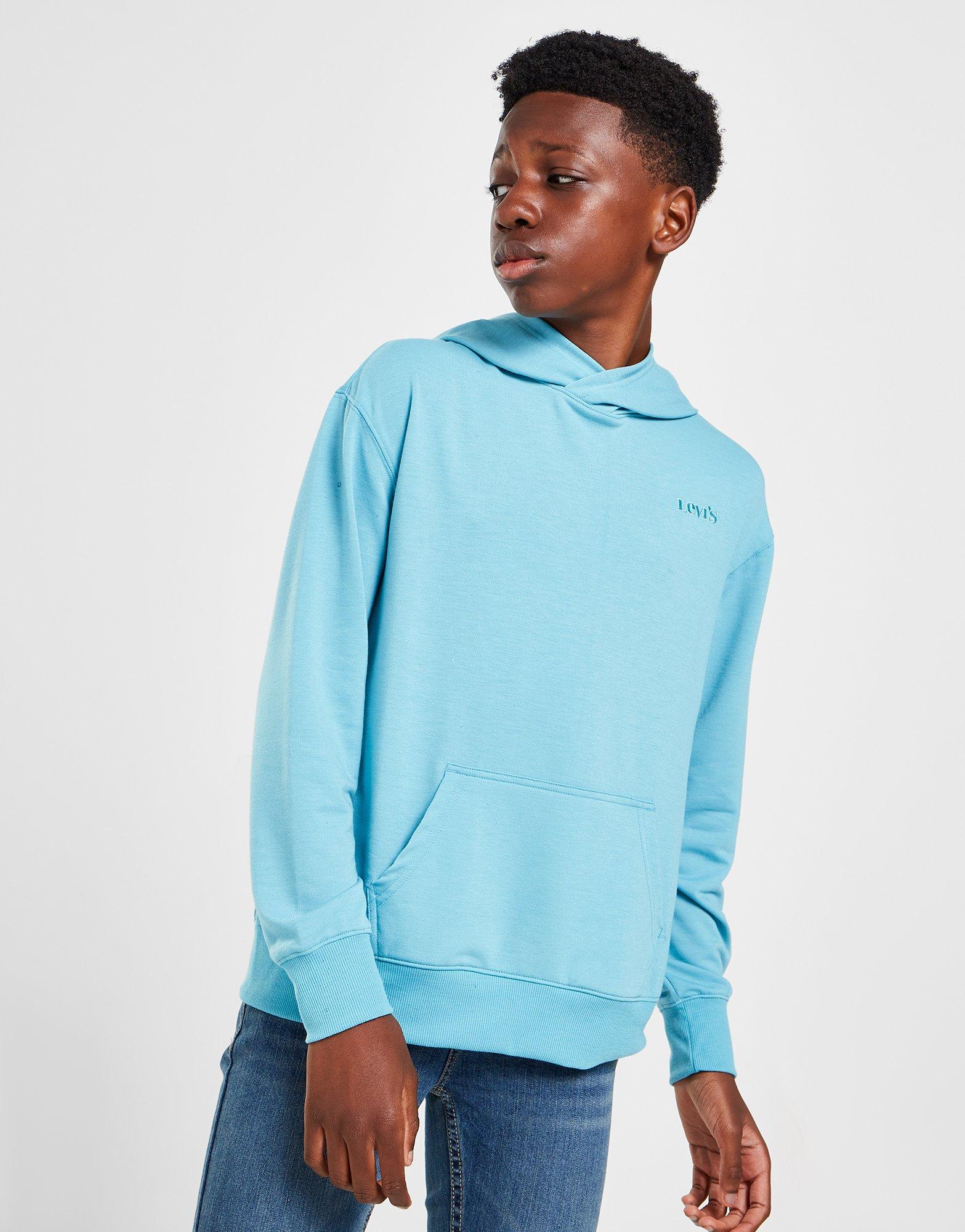 Levi's Small Logo Overhead Hoodie Junior
