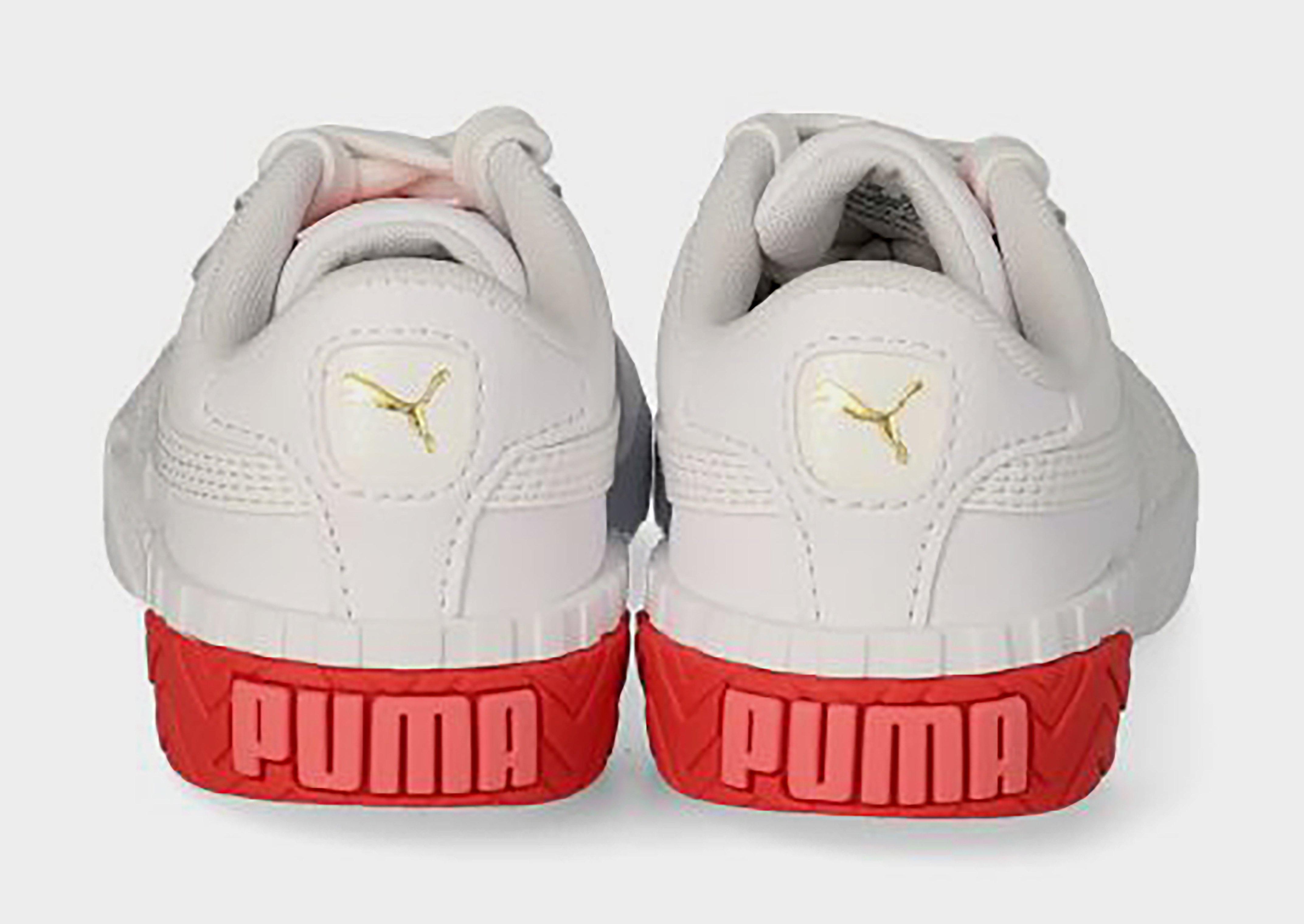 PUMA E CALI