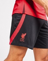 Nike Liverpool FC Strike Shorts