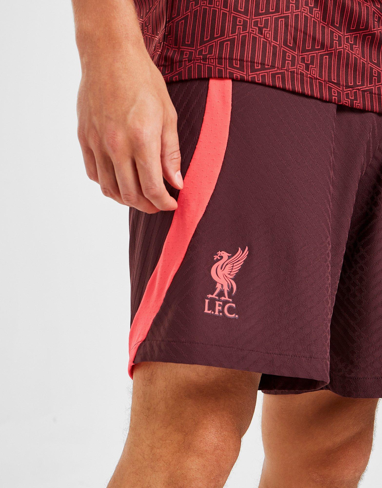 Nike Liverpool FC Strike Shorts