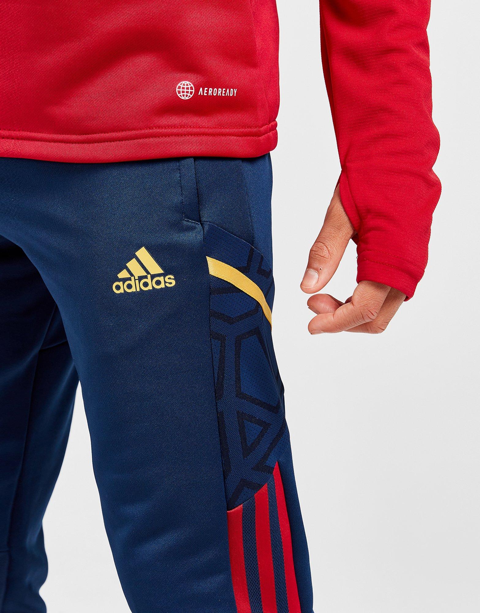 adidas Ajax Training Track Pants Junior