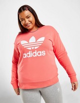 adidas Originals Trefoil Plus Size Crew Sweatshirt