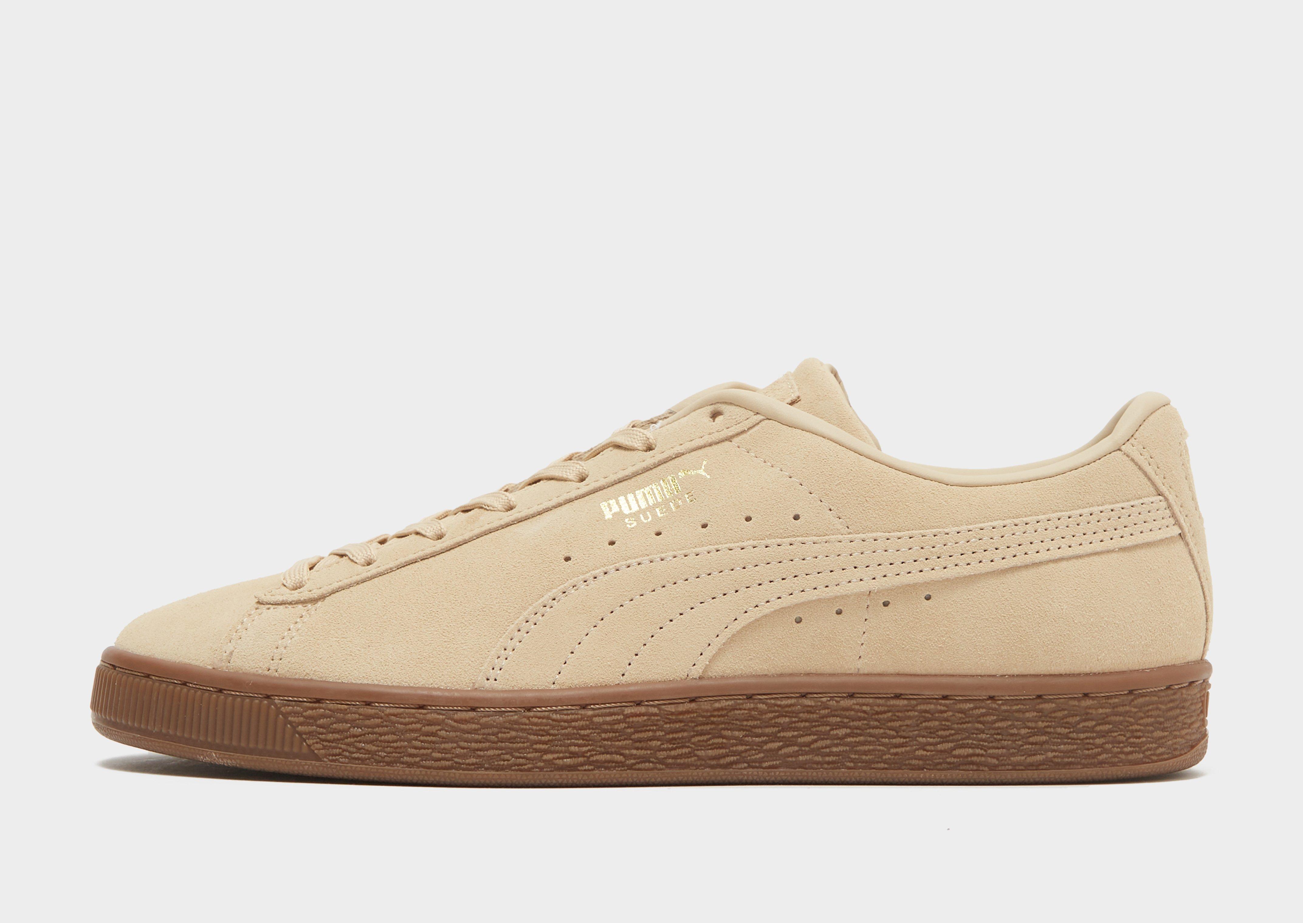 brown puma