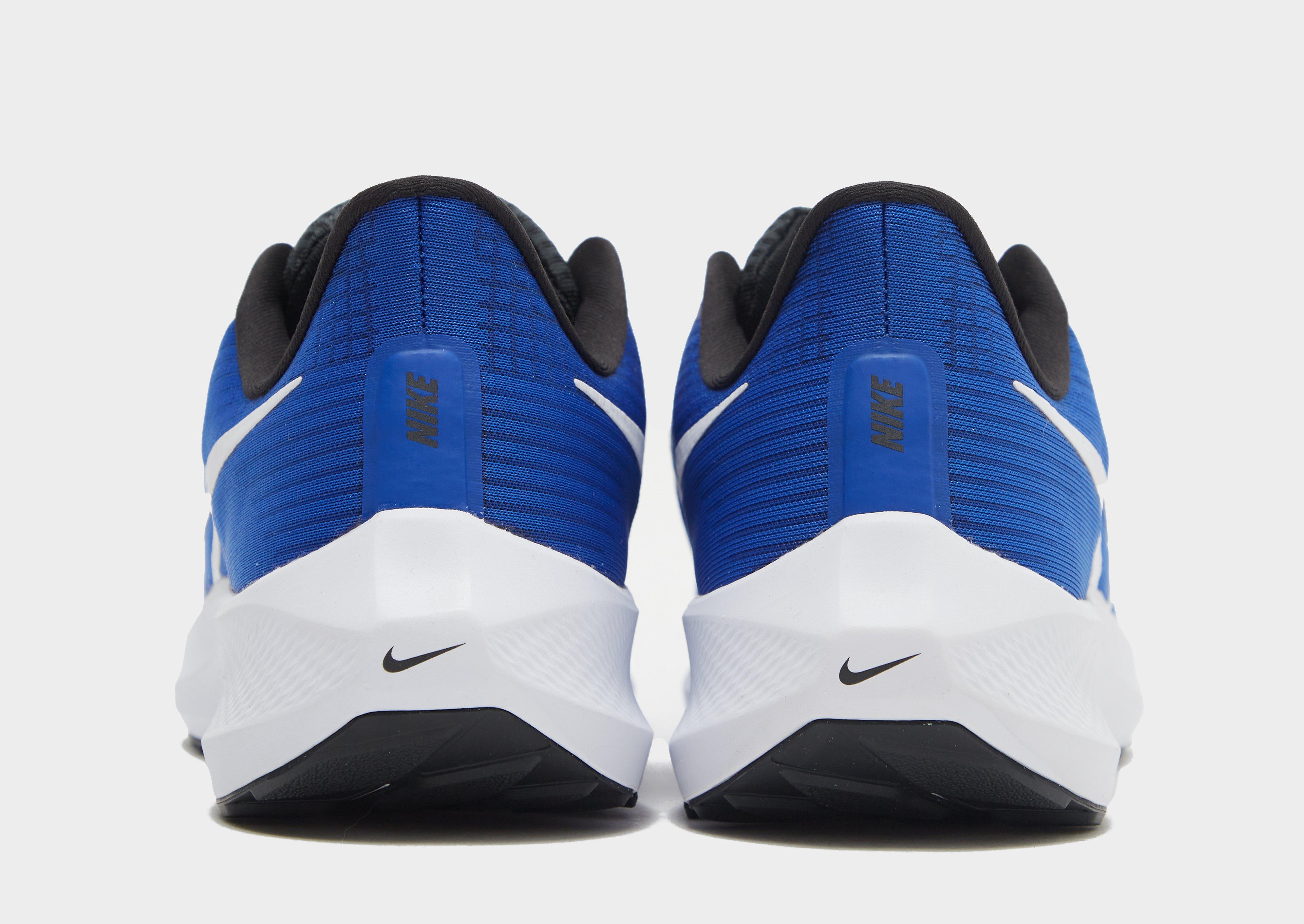 Nike Air Zoom Pegasus 39