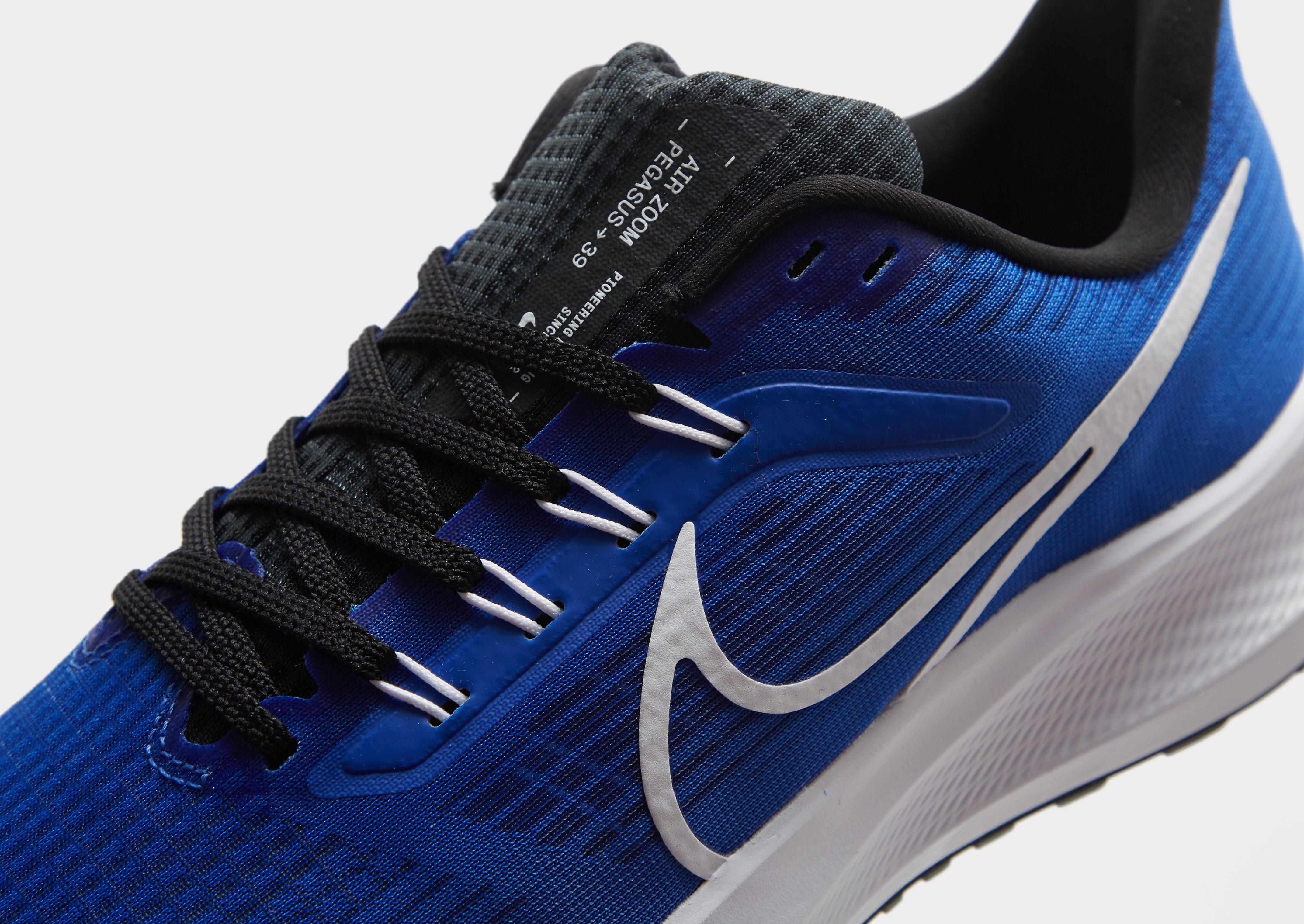 Nike Air Zoom Pegasus 39