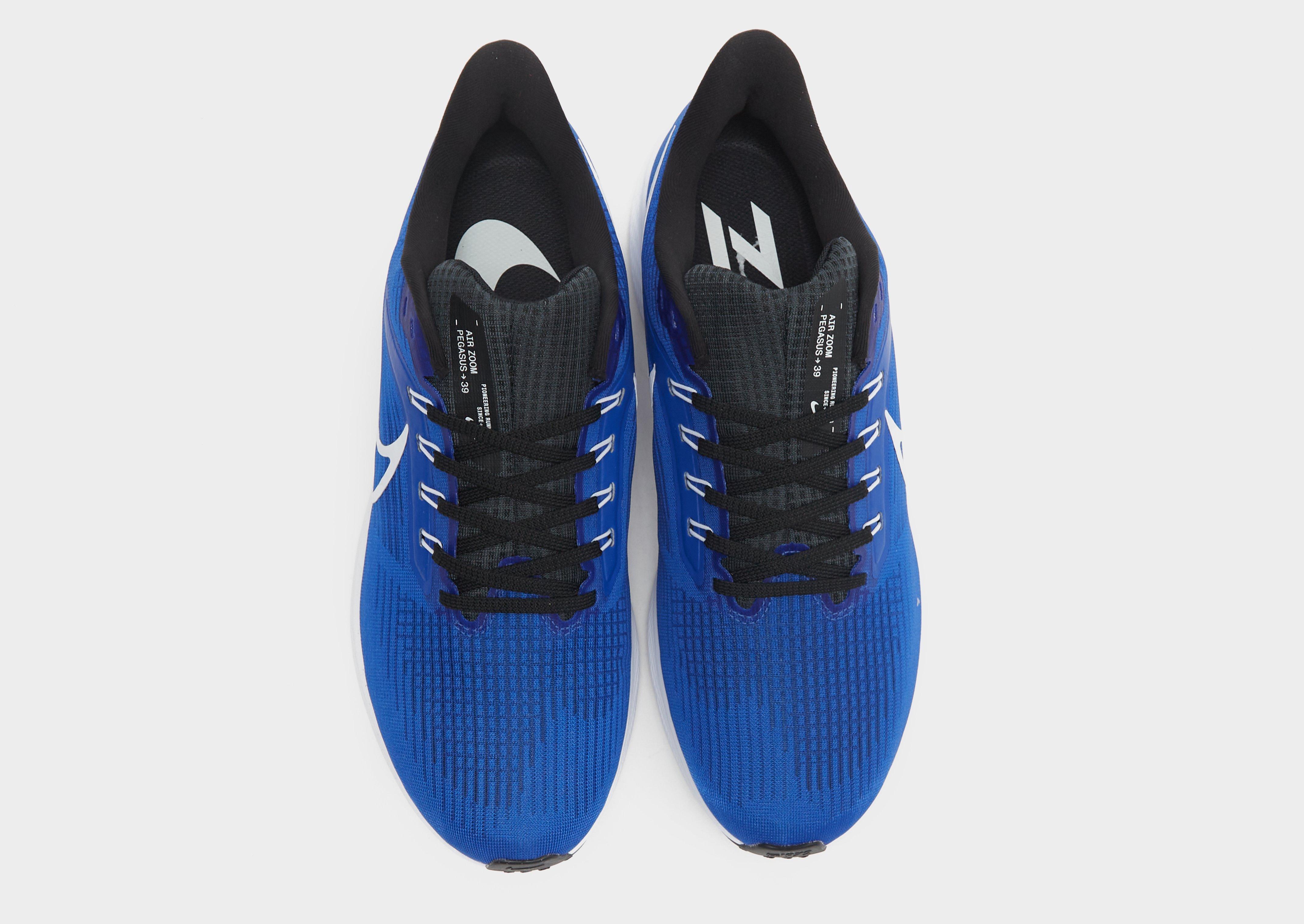 Nike Air Zoom Pegasus 39