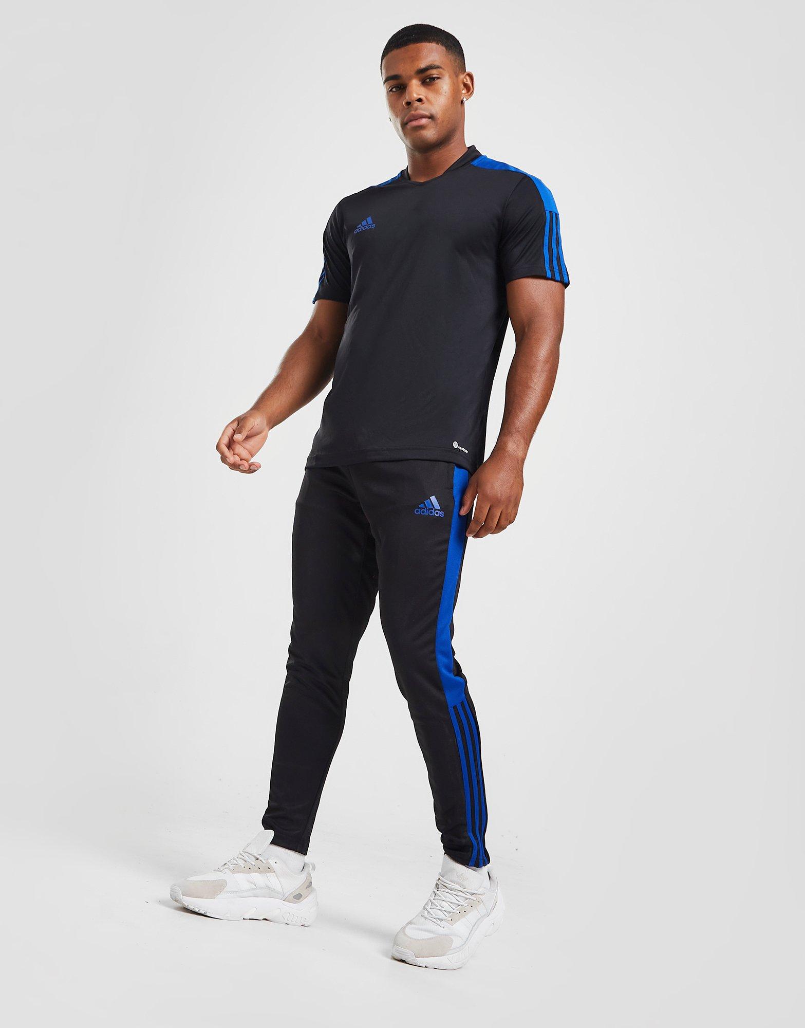 adidas dry fit pants