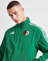 adidas Algeria Anthem Jacket