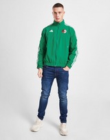 adidas Algeria Anthem Jacket