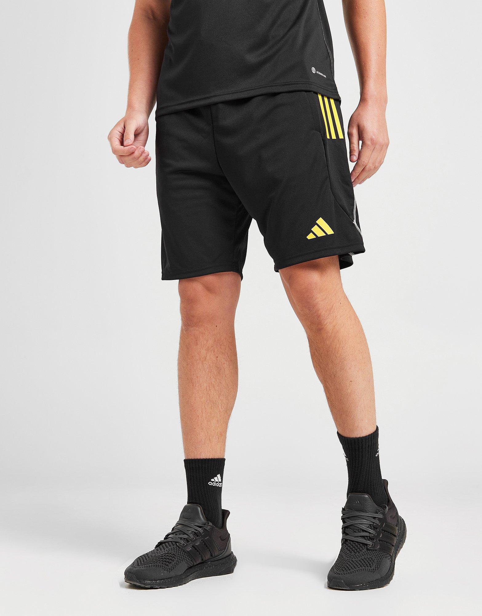 adidas Northern Ireland Tiro 23 Training Shorts