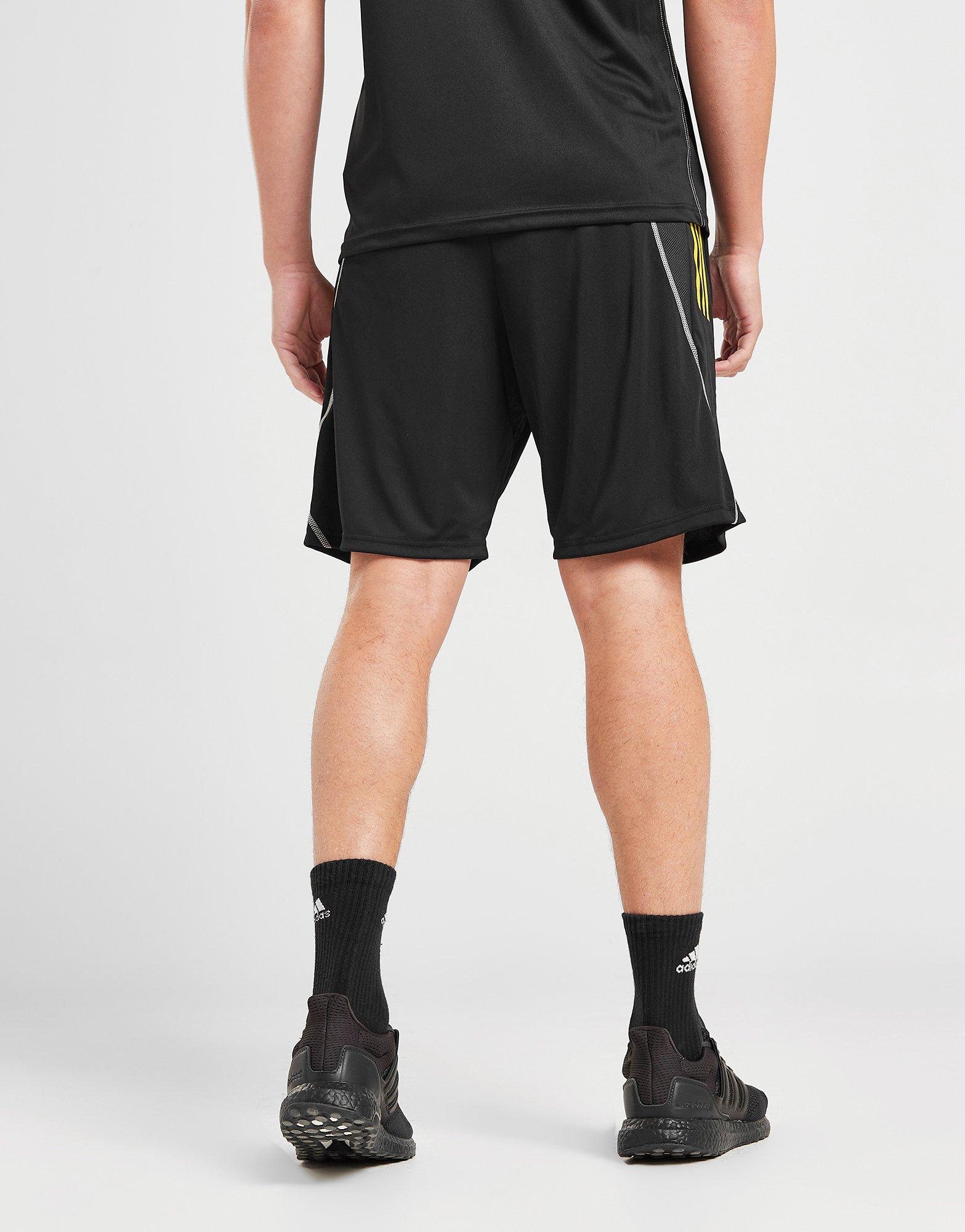 adidas Northern Ireland Tiro 23 Training Shorts