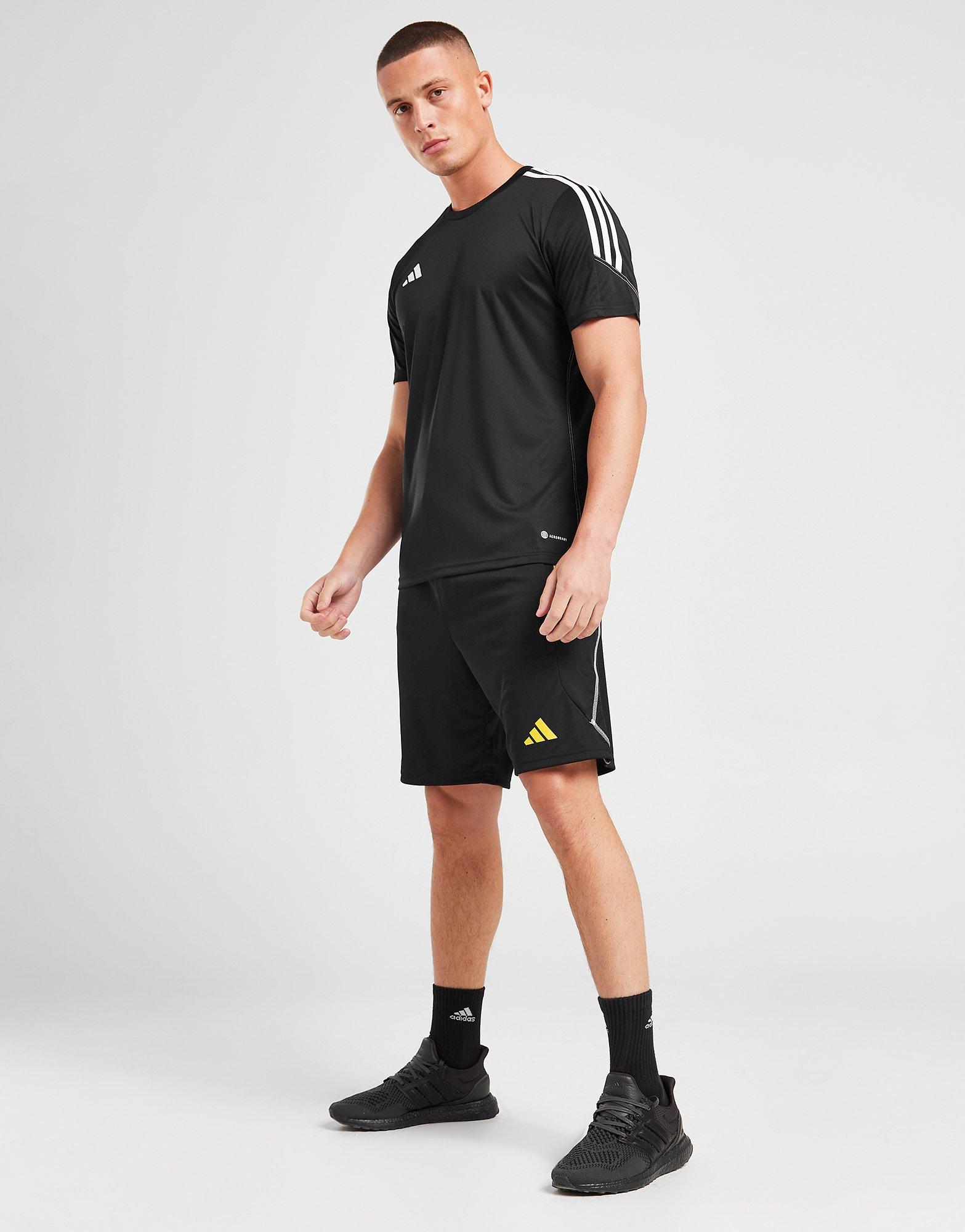 adidas Northern Ireland Tiro 23 Training Shorts
