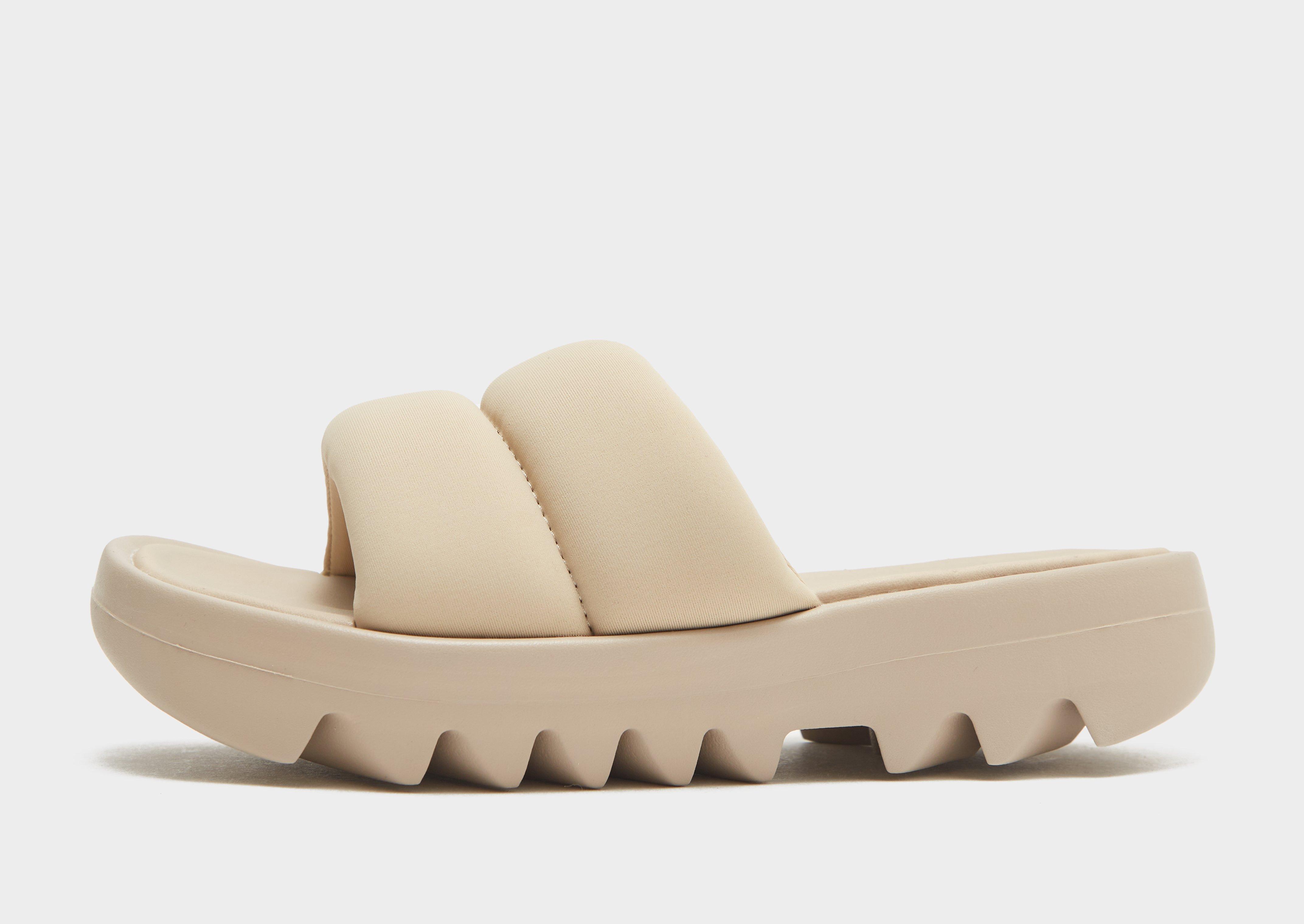 x Cardi B JD Sports España