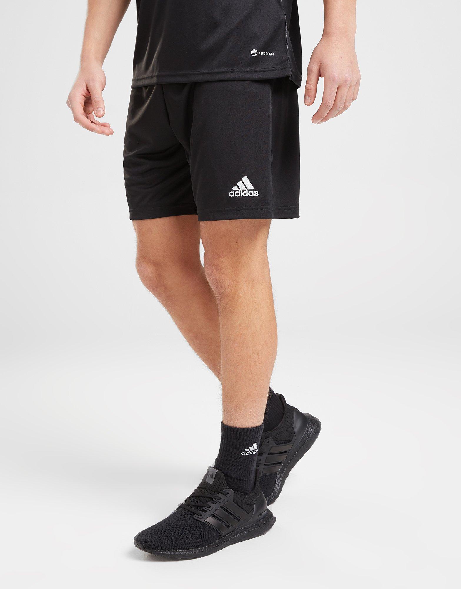 adidas Entrada 22 Shorts