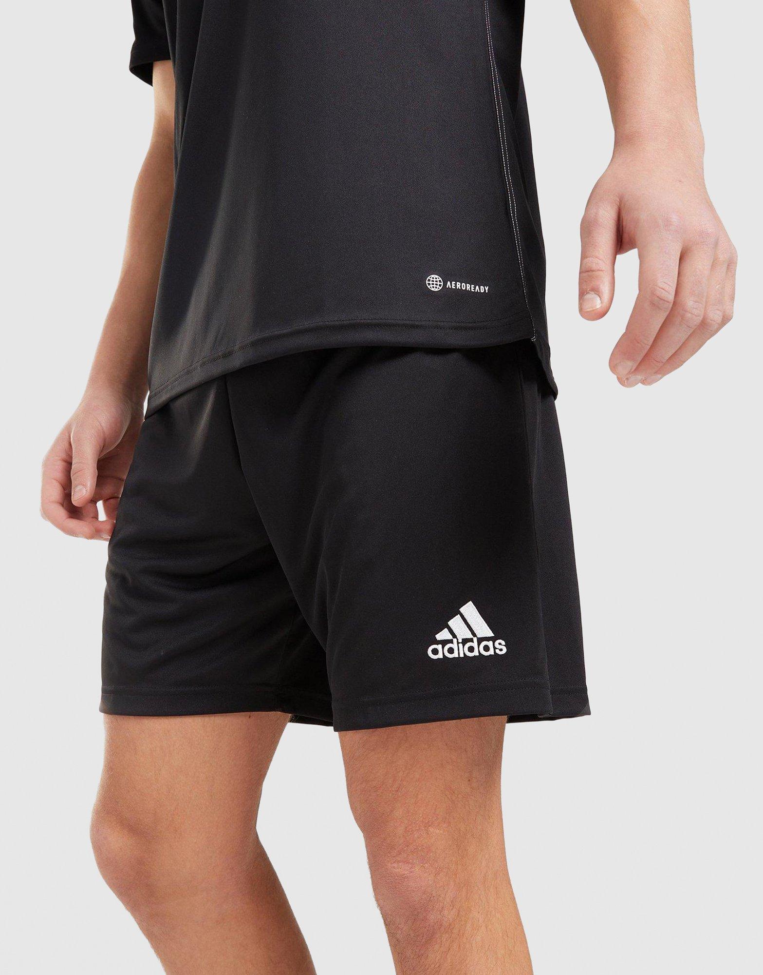 adidas Entrada 22 Shorts