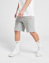 Dickies Short Mapleton French Terry Homme