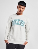 Dickies Aitkin Varsity Large Logo Sweatshirt