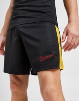 Nike Academy 23 Shorts