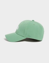 The North Face Recycled '66 Classic Cap