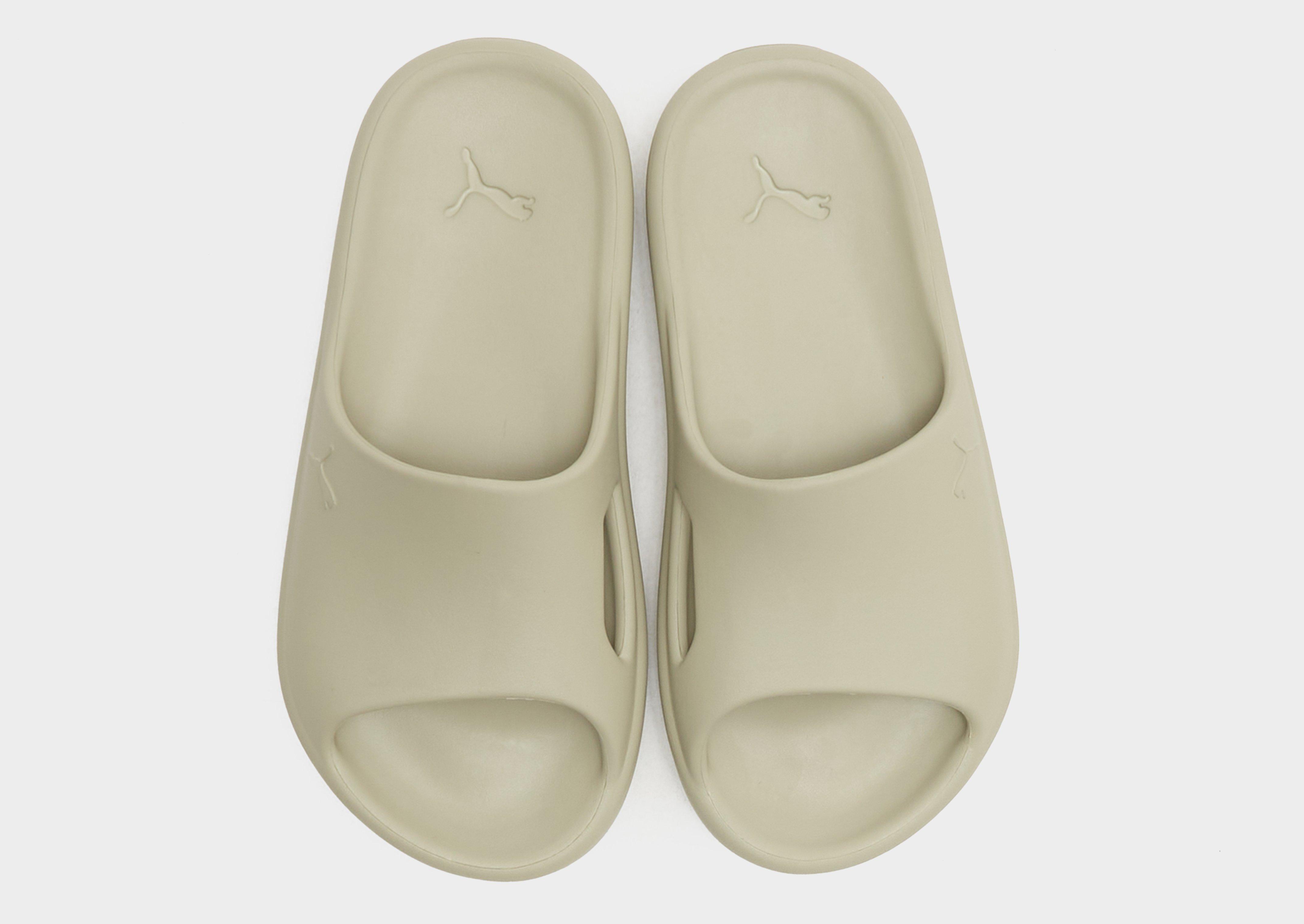 PUMA Shibui Cat Tofflor Dam